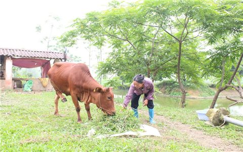 Đại Từ (Thái Nguyên) đẩy mạnh phong trào “chung tay vì người nghèo - không bỏ ai ở lại phía sau”