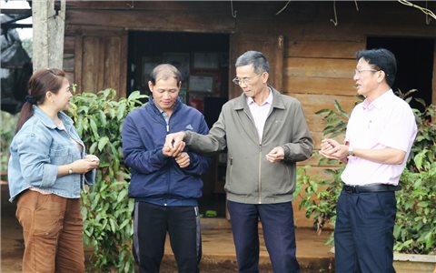 Dòng vốn chính sách lan tỏa, tạo đà phát triển bền vững ở Krông Năng