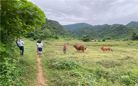 Phú Thọ: Nâng cao chất lượng các dịch vụ xã hội cơ bản hỗ trợ hộ nghèo vươn lên