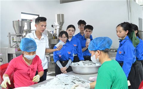 Hành trình khởi nghiệp với cây dược liệu của chàng kỹ sư người Tày