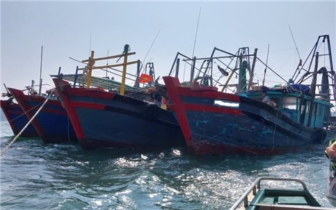 Móng Cái (Quảng Ninh): Tàu giã cào... cào hết nguồn lợi hải sản