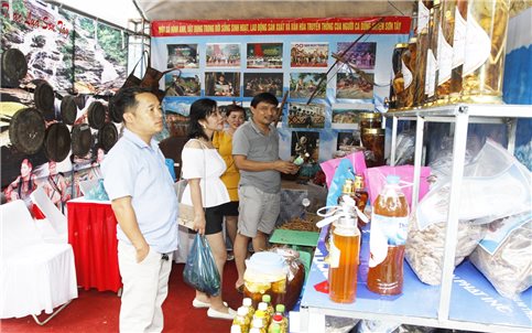 Quảng Ngãi: Tổ chức Hội nghị thu hút đầu tư và Chương trình Chắp cánh ước mơ khởi nghiệp ở vùng đồng bào DTTS và miền núi vào cuối tháng 4