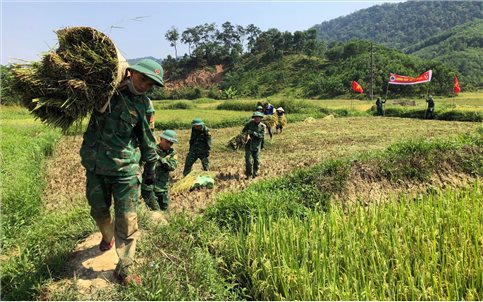 Đội nắng giúp đồng bào khu vực biên giới thu hoạch lúa