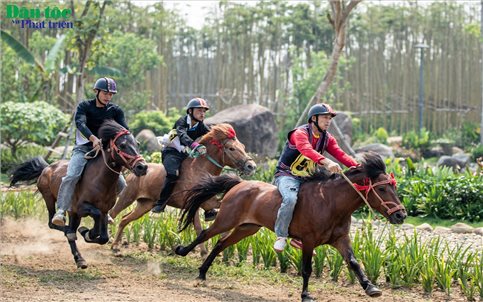 Mãn nhãn màn tranh tài của 64 nài ngựa ở thị xã Nghĩa Lộ, Yên Bái