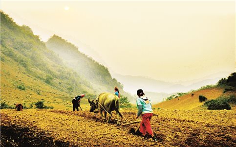 Pú Nhung trên đường đổi mới