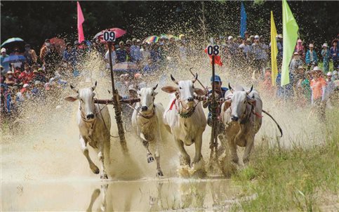 Miền di sản Khmer giữa lòng Bảy Núi