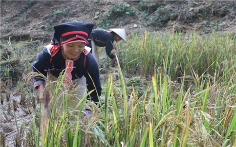Quảng bá, tôn vinh các sản phẩm vùng đồng bào DTTS