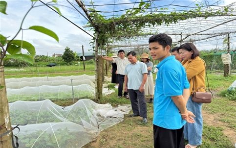 Hệ thống khuyến nông hướng đến hiện đại hóa toàn diện, phục vụ thiết thực cho người dân