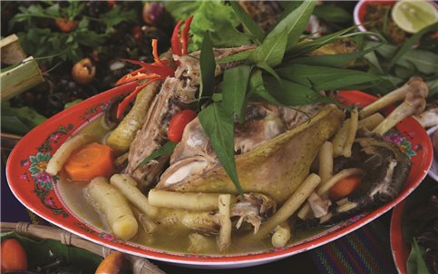 Sâm dây - Hương vị đại ngàn Trường Sơn