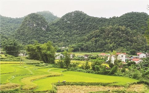 Cao Bằng: Chăm lo đội ngũ “gánh kỳ vọng, giữ niềm tin” ở vùng DTTS