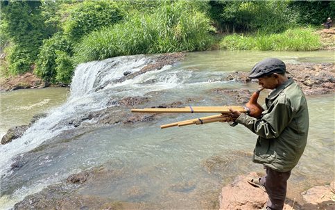 Tiếng kèn trên rẫy