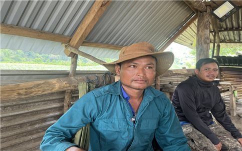 Giữ rừng như giữ vàng - Lời thề từ Chư Yanh Sin
