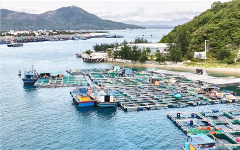 Bình Định: Lập quy hoạch khu đô thị, nghỉ dưỡng, bến siêu du thuyền 5.200ha