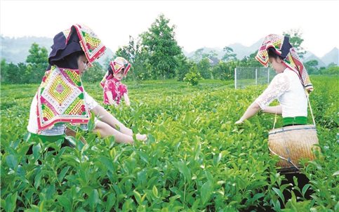 Thoát nghèo nhờ Chương trình MTQG 1719