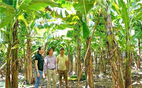 Động lực mới từ Chương trình MTQG 1719