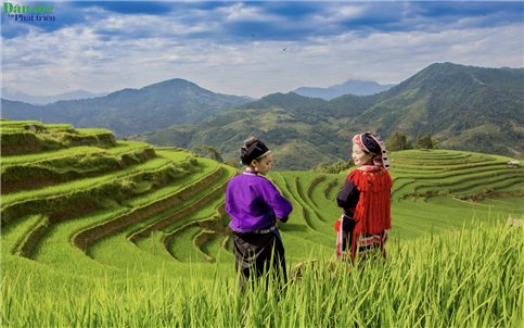 Ruộng bậc thang - Tuyệt tác giữa đại ngàn Tuyên Quang