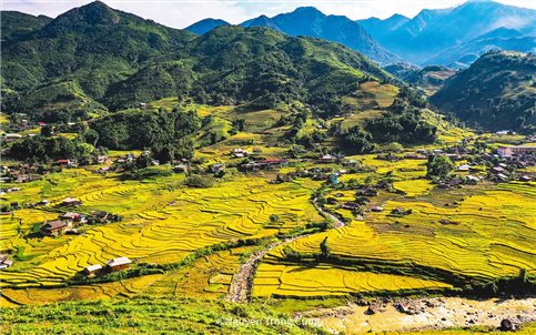 Óng ánh sắc vàng trên những thửa ruộng bậc thang