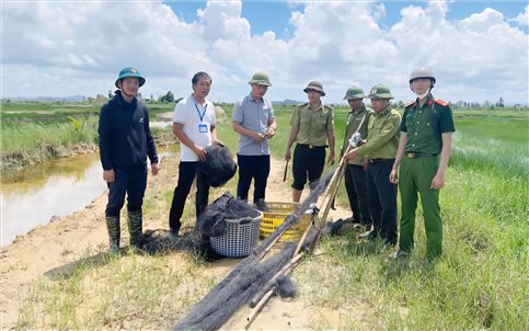 Hãy bảo vệ để những cánh chim di cư bay mãi...