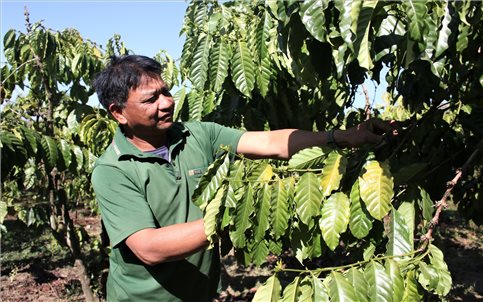 Đảng viên xã Ngọk Réo lan tỏa khát vọng vươn lên phát triển kinh tế