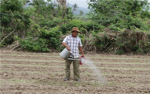 Nhịp sống trở lại nơi vùng hạ lưu sông Ba Hạ sau lũ dữ