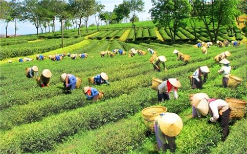 Nhiệm vụ, giải pháp chủ yếu thực hiện Kế hoạch phát triển kinh tế - xã hội và dự toán ngân sách nhà nước năm 2026