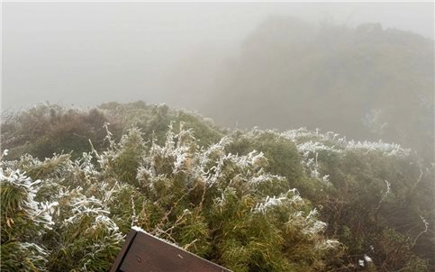 Nhiệt độ giảm sâu, băng giá phủ trắng đỉnh núi Fansipan