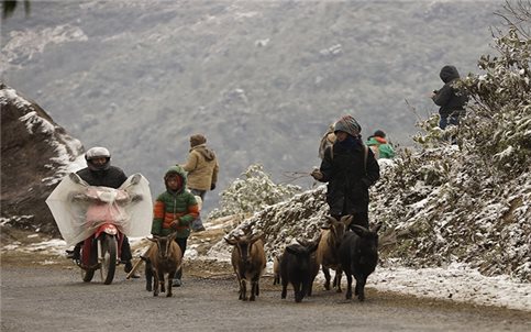 Hôm nay 9/1: 12 tỉnh, thành phố miền Bắc và Bắc Trung Bộ rét sâu, nhiều nơi nhiệt độ xuống dưới 10°C