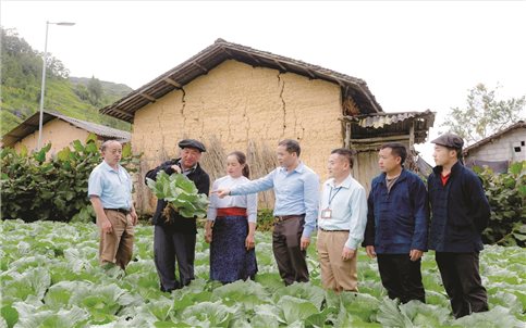 Khát vọng của cô gái dân tộc Cơ Lao