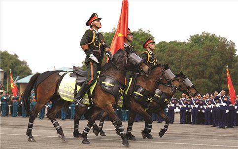 Vó ngựa thời gian