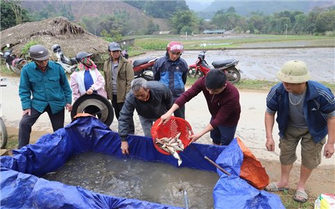 Tuyên Quang: Mở hướng tăng thu nhập cho người dân xã Liên Hiệp