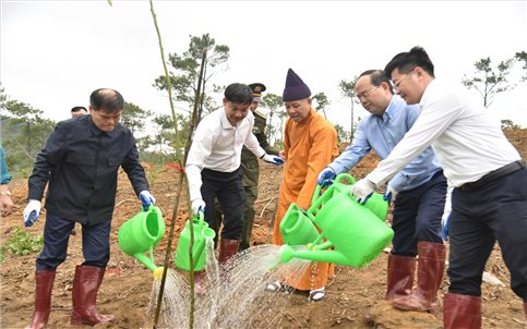 Quảng Ninh khởi động chiến dịch phục hồi rừng