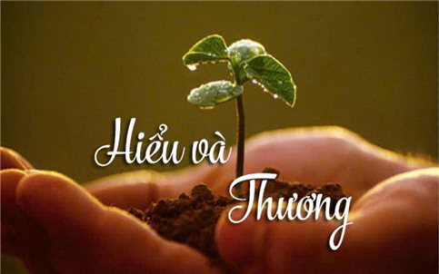 Hiểu và Thương: Nghệ thuật kết nối sâu trong xã hội hiện đại