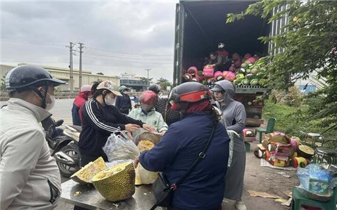 Nông dân Tây Nam Bộ "ngồi trên lửa" khi giá nông sản lao dốc