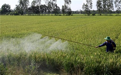 Khuyến khích doanh nghiệp đầu tư vào nông nghiệp, nông thôn