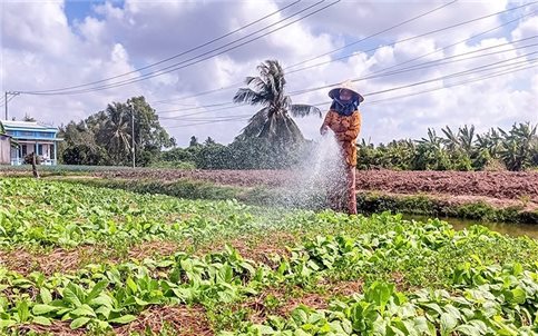 Đồng bào Khmer thêm một mùa Tết Chôl Chnăm Thmây khởi sắc