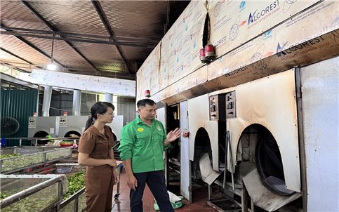 Hỗ trợ phụ nữ tham gia quá trình chuyển đổi số