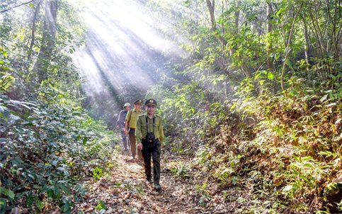 Chi cục Kiểm lâm tỉnh Tuyên Quang với công tác bảo vệ rừng - phòng cháy, chữa cháy rừng