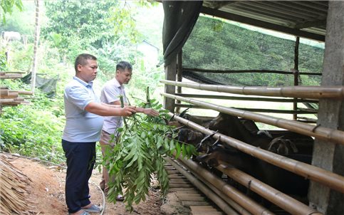 Tuyên Quang: Vượt mục tiêu giảm nghèo vùng DTTS