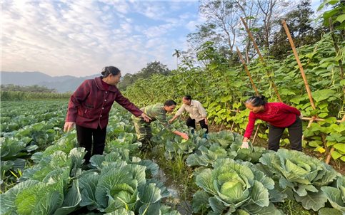 Xã Yên Nguyên (Tuyên Quang): Người có uy tín lực lượng "đặc biệt" đưa chính sách dân tộc vào cuộc sống
