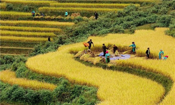 Tiếp tục tập trung hoàn thiện thể chế, cơ chế về công tác dân tộc và chính sách dân tộc