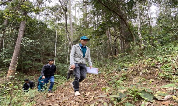 Thấy gì từ lực lượng giữ rừng ở Kon Tum: Hàng trăm người xin nghỉ việc (Bài 1)