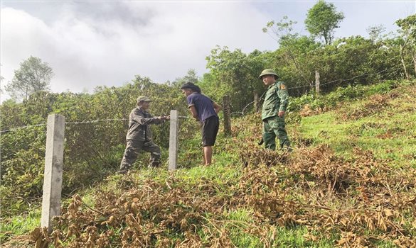 Bước phát triển mới ở Rào Tre