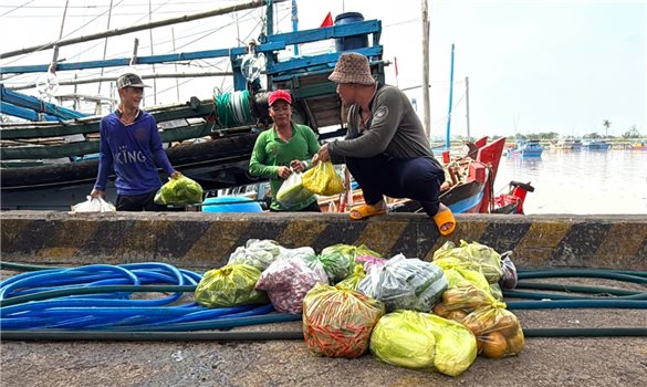 Ngư dân Đắk Lắk đứng lên sau bão