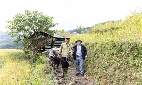 Chương trình MTQG 1719 tạo sinh kế bền vững cho người dân Lao Chải