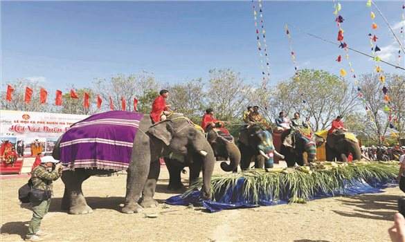 Khám phá những điều thú vị ở xứ sở voi huyền thoại