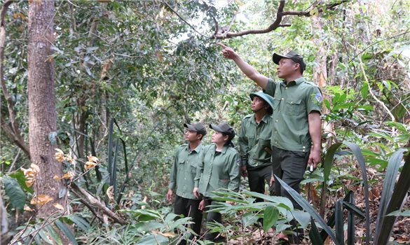 Vướng Thông tư nên không thể giao khoán quản lý bảo vệ, 13.000ha rừng đặc dụng đứng trước nhiều rủi ro