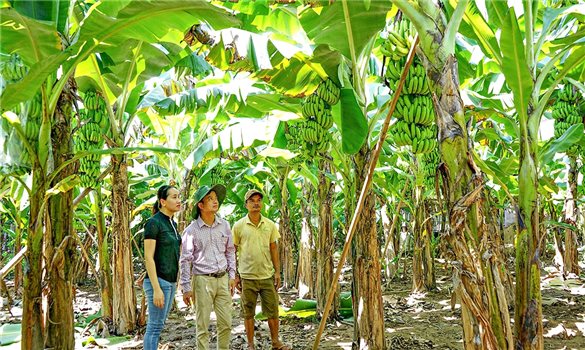 Động lực mới từ Chương trình MTQG 1719