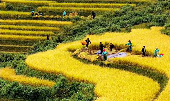 Thực hiện Chương trình MTQG 1719 giai đoạn II: Sẽ phân cấp mạnh cho chính quyền địa phương