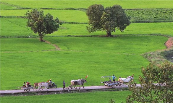 Chương trình Mục tiêu quốc gia: Tạo sinh kế cho đồng bào Khmer vùng Bảy Núi