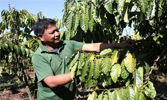 Đảng viên xã Ngọk Réo lan tỏa khát vọng vươn lên phát triển kinh tế